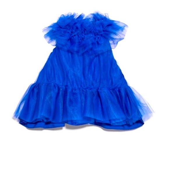Cobalt Blue Tulle Top - Picture 7 of 7